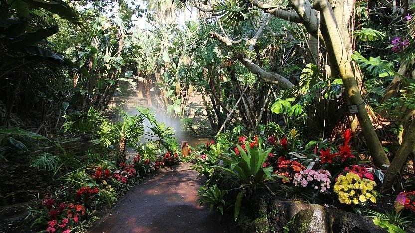 🌺 플라워파크 가고시마 (후라와파쿠 카고시마) 이미지 3